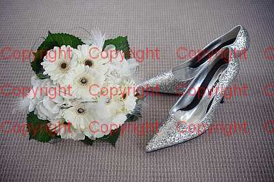 photographer Canterbury