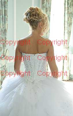 photographer Canterbury