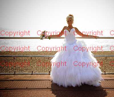 photographer Canterbury