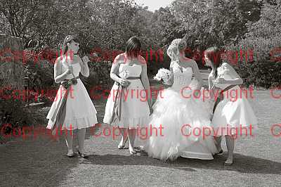 photographer Canterbury