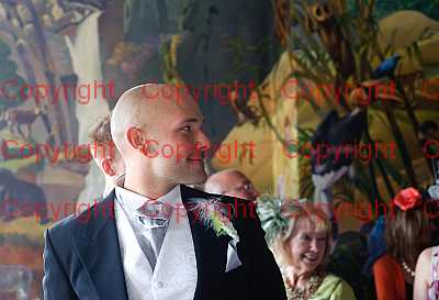 photographer Canterbury