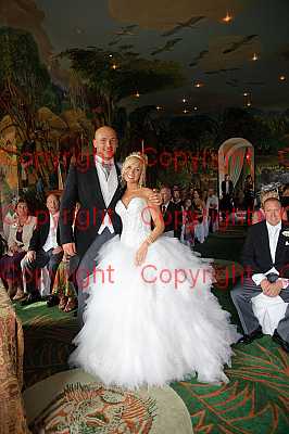 photographer Canterbury