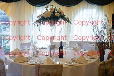 photographer Canterbury