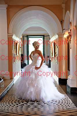 photographer Canterbury