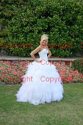 photographer Canterbury