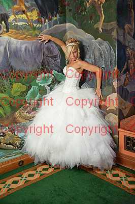 photographer Canterbury