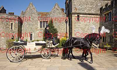 photographer Canterbury