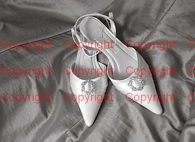 photographer Canterbury