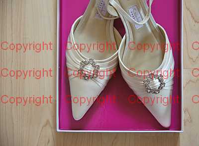 photographer Canterbury