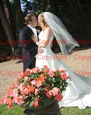 photographer Canterbury