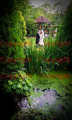 photographer Canterbury