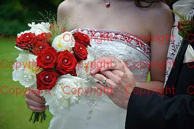 photographer Canterbury