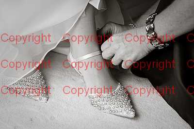 photographer Canterbury