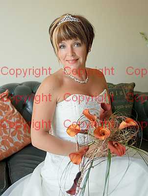 photographer Canterbury