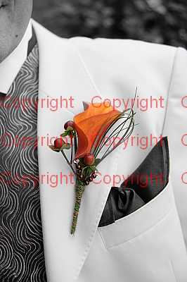 photographer Canterbury