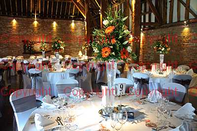 photographer Canterbury