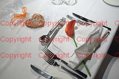 photographer Canterbury