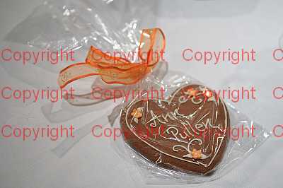 photographer Canterbury