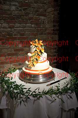 photographer Canterbury