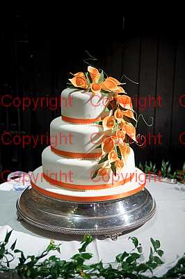 photographer Canterbury