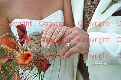 photographer Canterbury