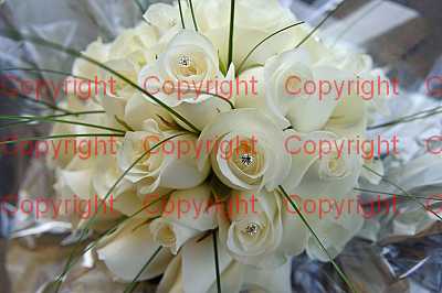 photographer Canterbury