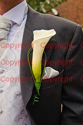 photographer Canterbury