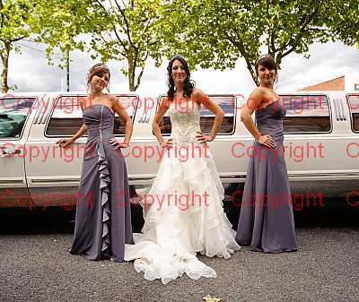 photographer Canterbury