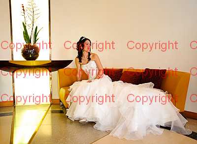 photographer Canterbury