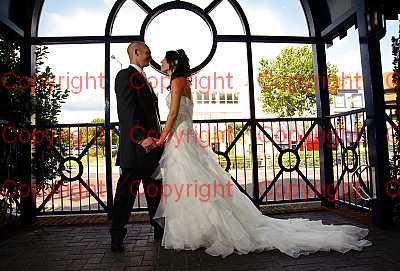 photographer Canterbury