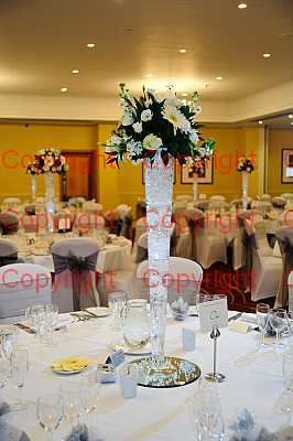 photographer Canterbury