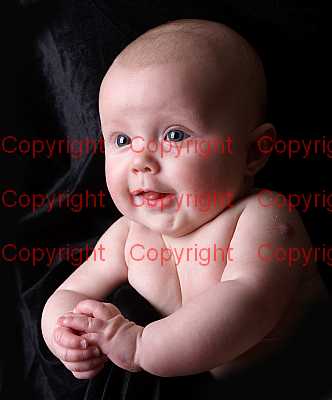 photographer Canterbury
