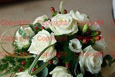 photographer Canterbury