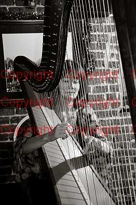 photographer Canterbury